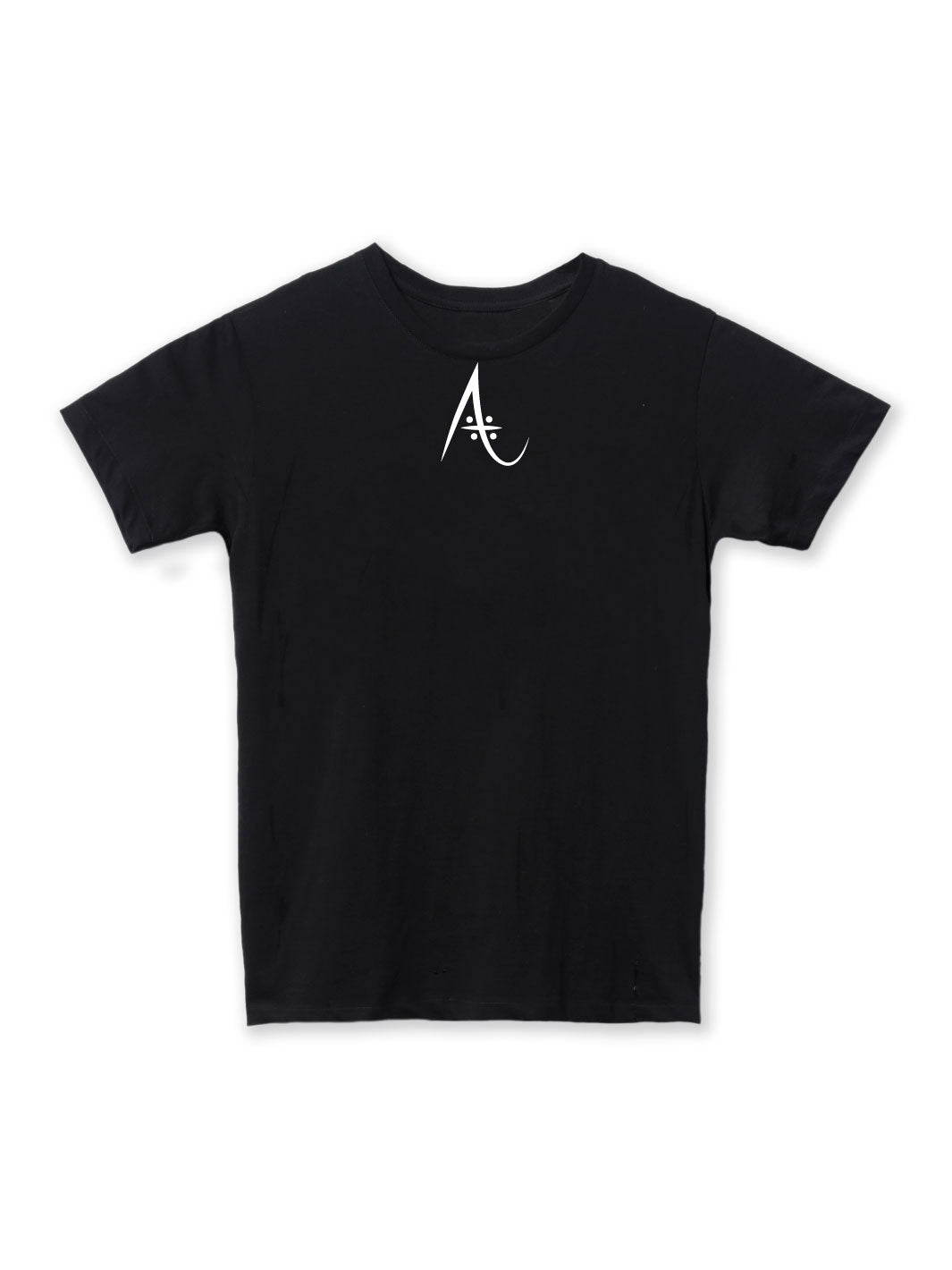 ARTIST PROJECT • T - SHIRT UNISEX CLASSIC - LOGO SCUOLA - Non Posso, Ho Danza.