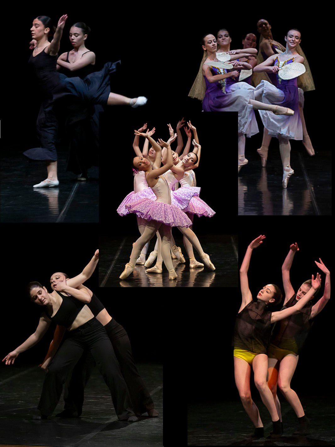 COREOGRAFIE DA N°26 A N°30 - Non Posso, Ho Danza.